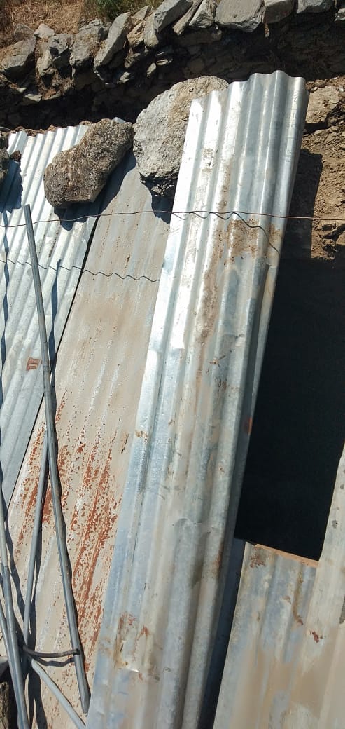 bear killed cow in deleth chanju village broke cowshed