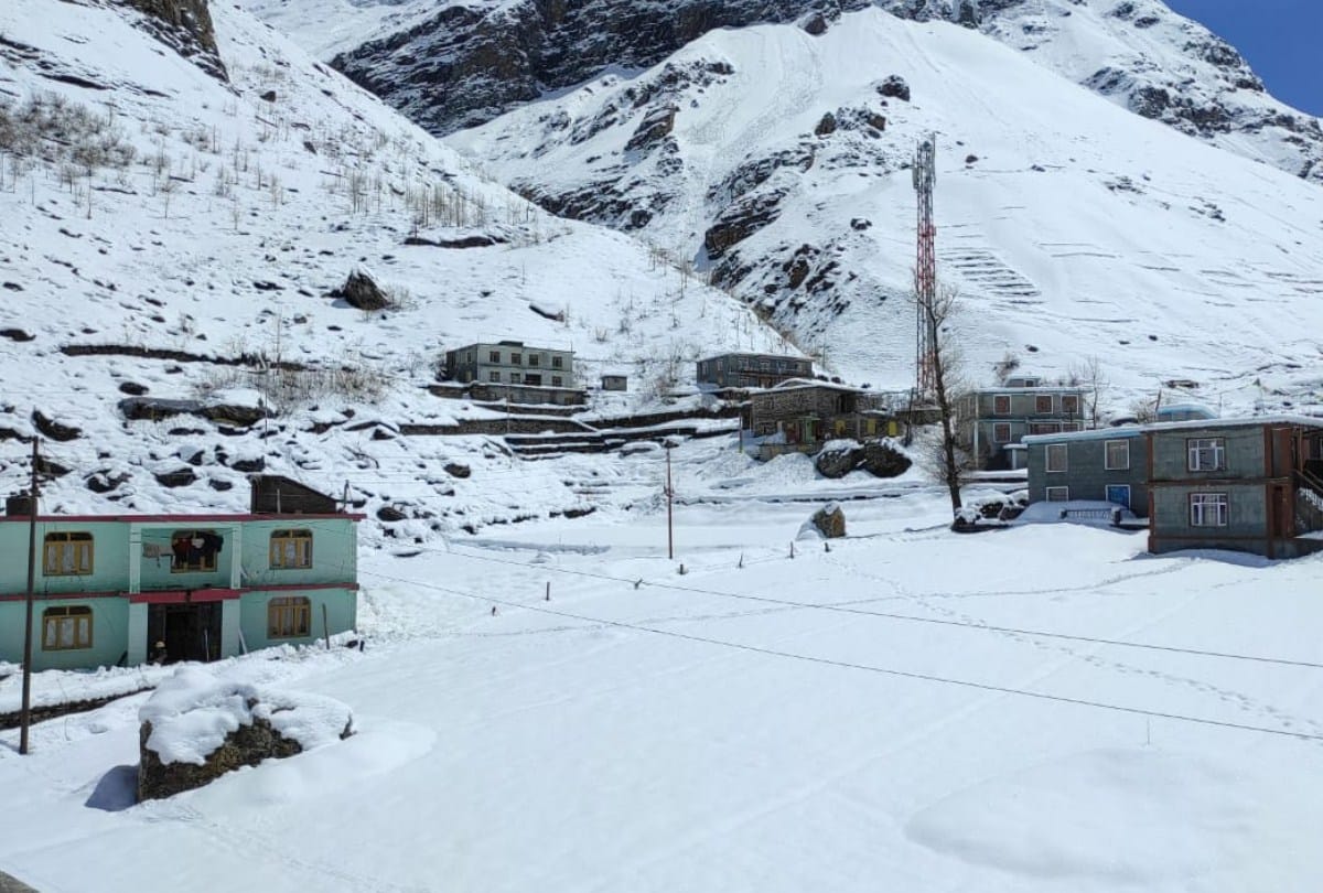 weather update himachal: shimla recorded 82 mm rain snowfall in baralacha and lahaul spiti