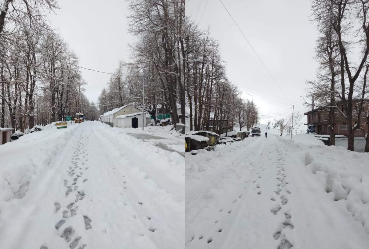 weather update himachal: shimla recorded 82 mm rain snowfall in baralacha and lahaul spiti