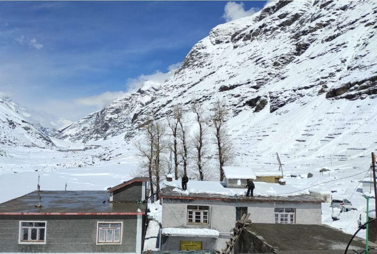 weather update himachal: shimla recorded 82 mm rain snowfall in baralacha and lahaul spiti