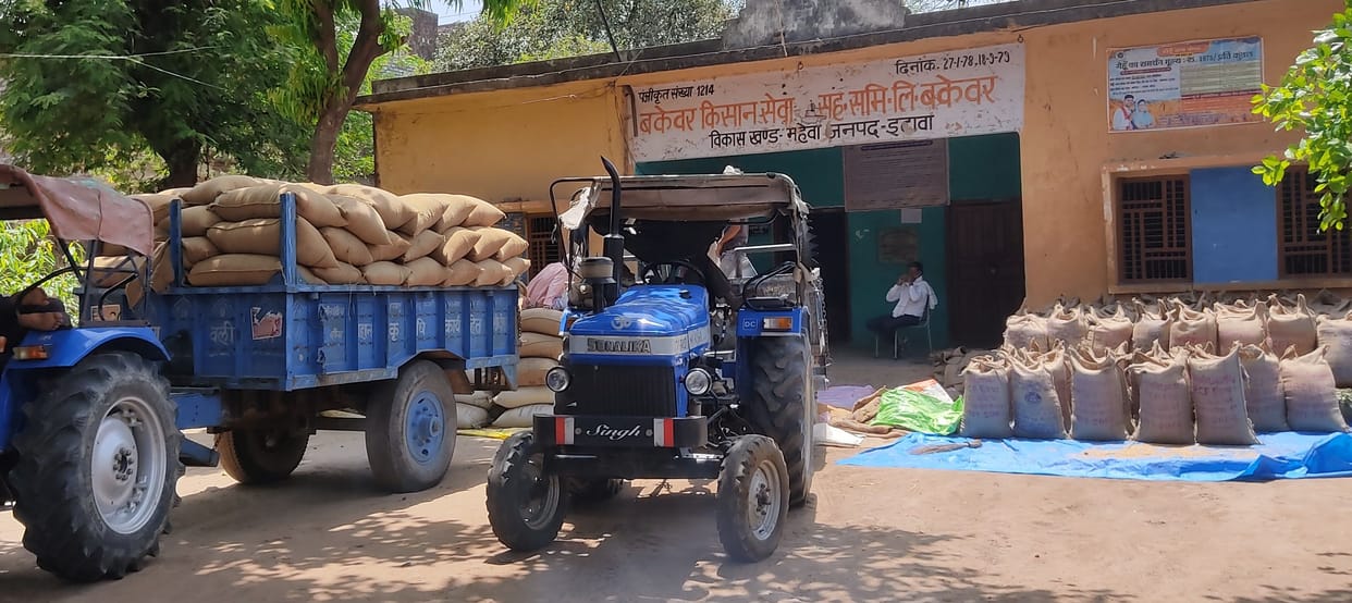 Near village Bakewar, Maheva will go to sell wheat