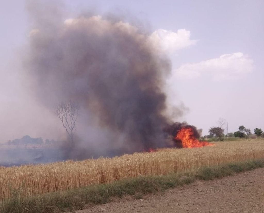 Seven bigha crop of wheat ashes due to spark fall