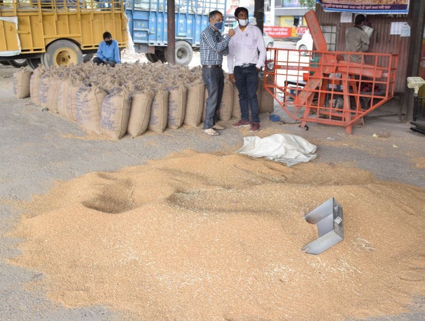 Wheat Producing farmers faces problems