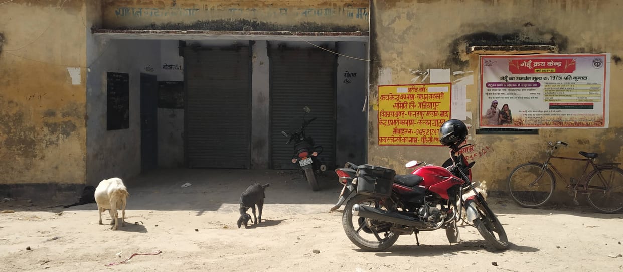 Lack of sacks at most purchasing centers, purchase halted