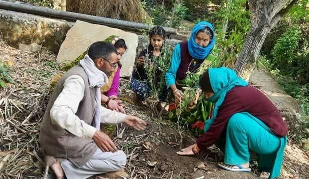 Plantation on earth day.