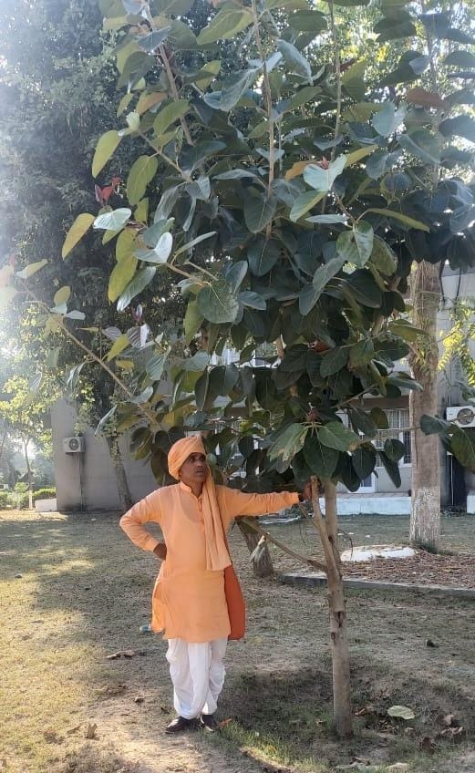40 lakh saplings planted in twenty years,