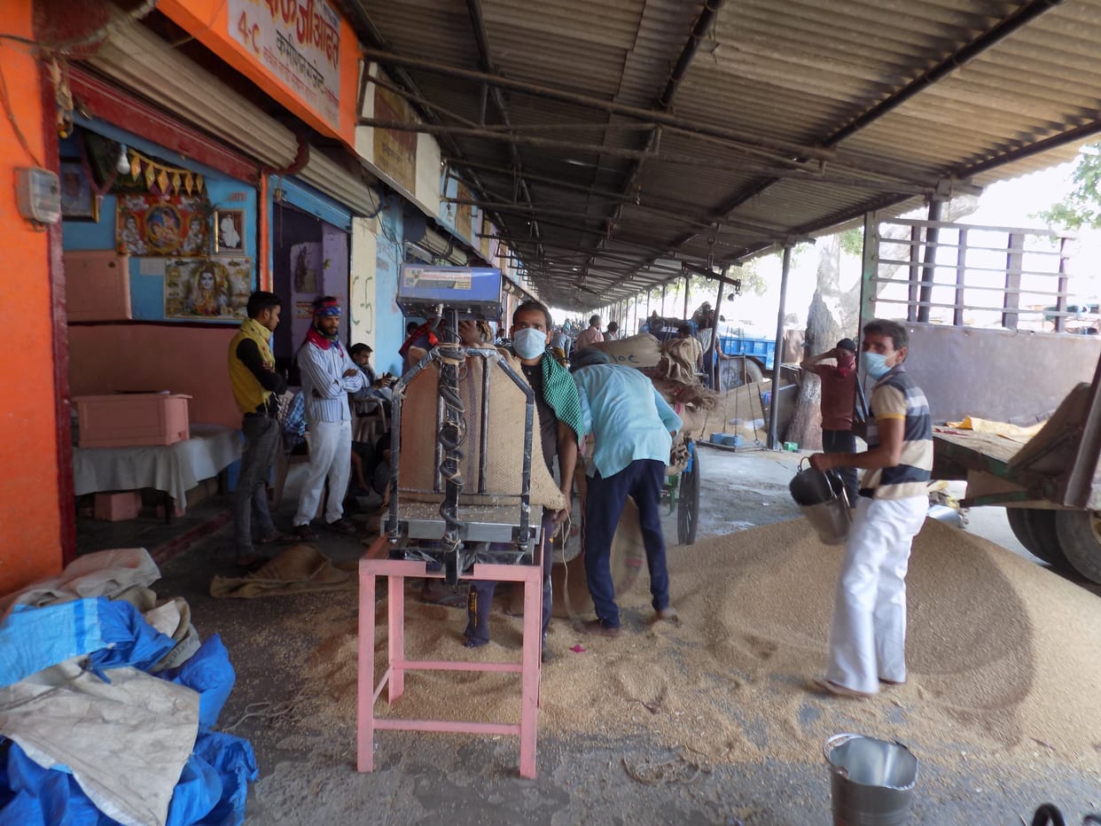 Hathras: 60 thousand quintals of wheat have arisen, then place at purchasing centers