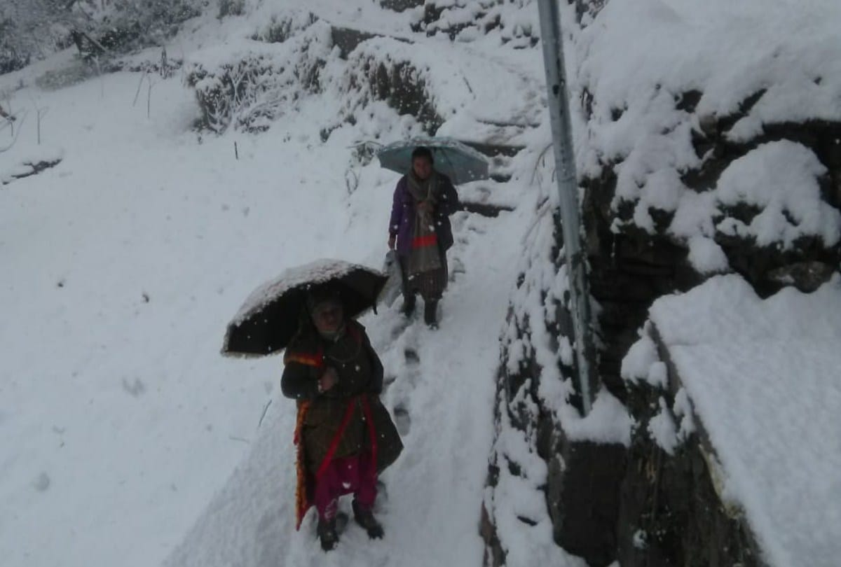 weaher update himachal: heavy rain and snowfall in himachal pradesh snowfall in manali  April 2021 snowfall damage apple crop