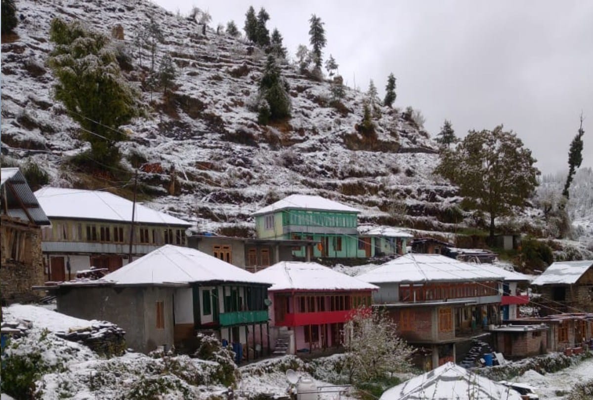 weaher update himachal: heavy rain and snowfall in himachal pradesh snowfall in manali  April 2021 snowfall damage apple crop