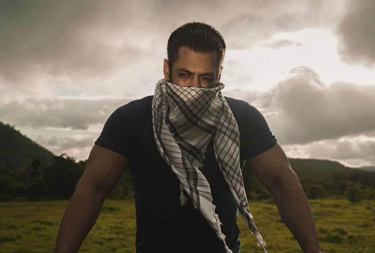 Salman Khan distributed 5 thousands food packet to frontline wokers in corona era tasted food himself video viral