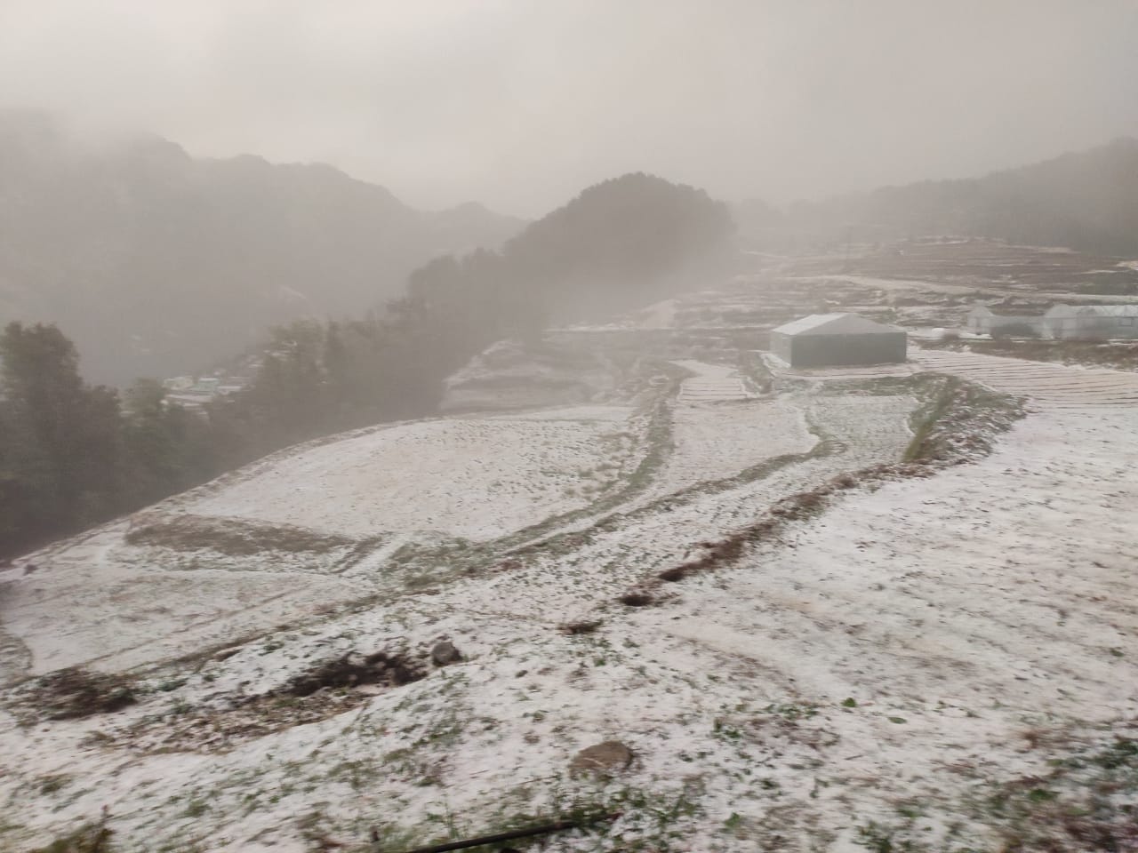 Uttarakhand Weather Forecast Today News: heavy hailstorm in mussoorie and dhanaulti