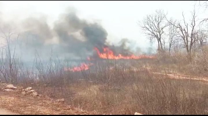 village,fire,police,forest,DFO