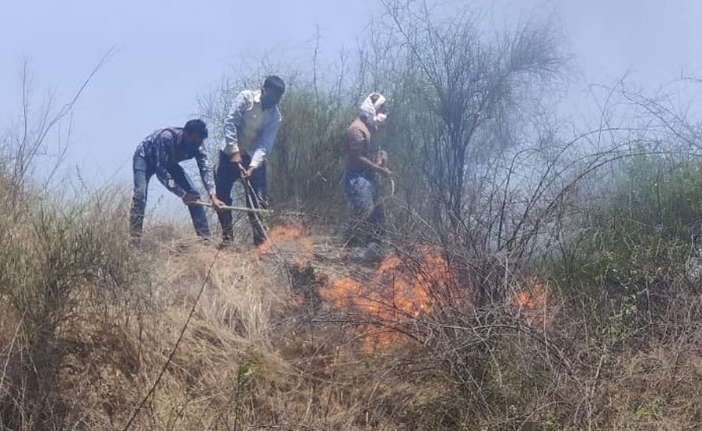 Safari caught fire due to high-tension line