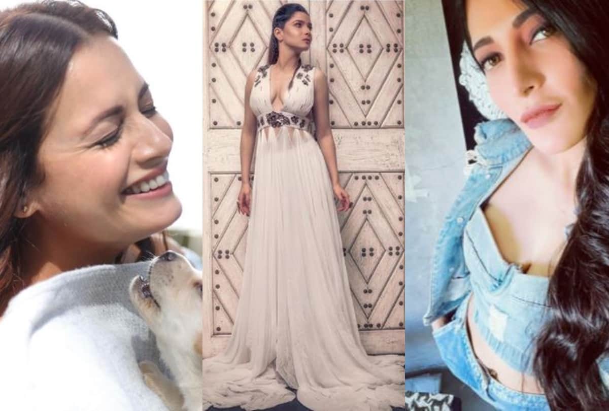 Kirti Kulhari to Dia Mirza these beautiful divas are spending their lockdown like a pro see photos