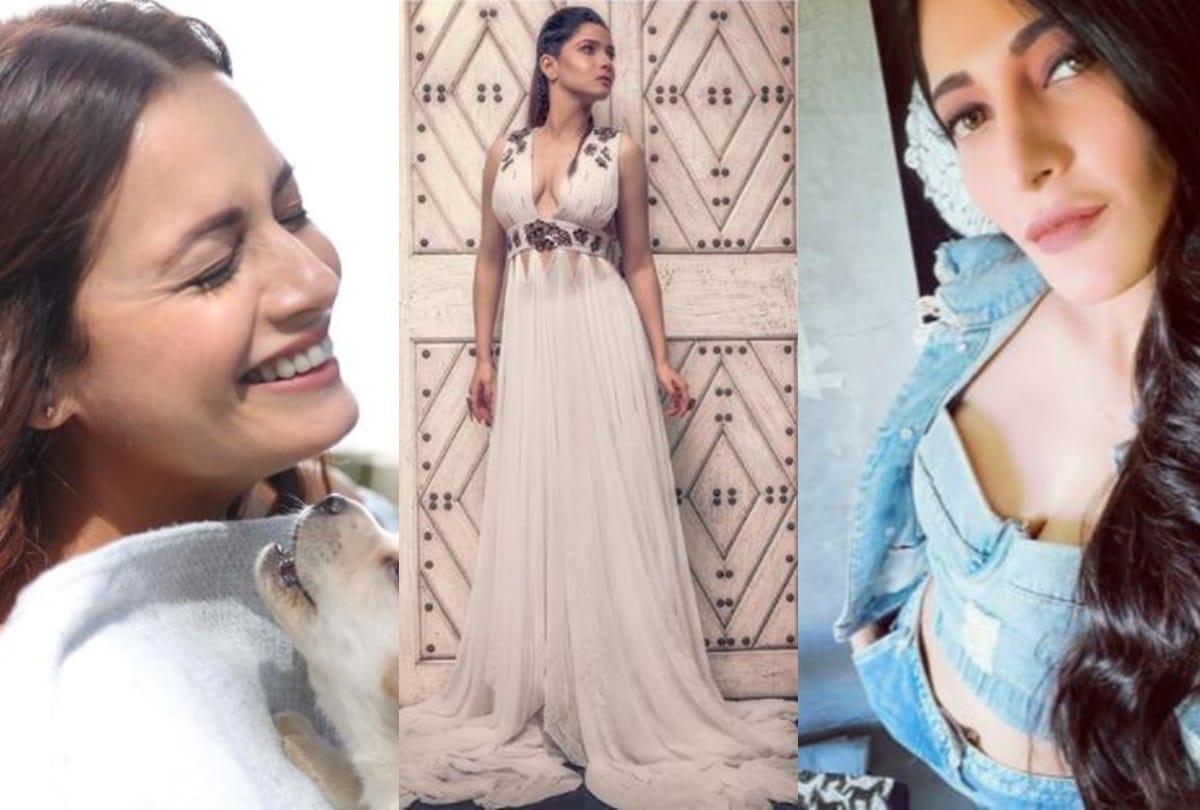 Kirti Kulhari to Dia Mirza these beautiful divas are spending their lockdown like a pro see photos