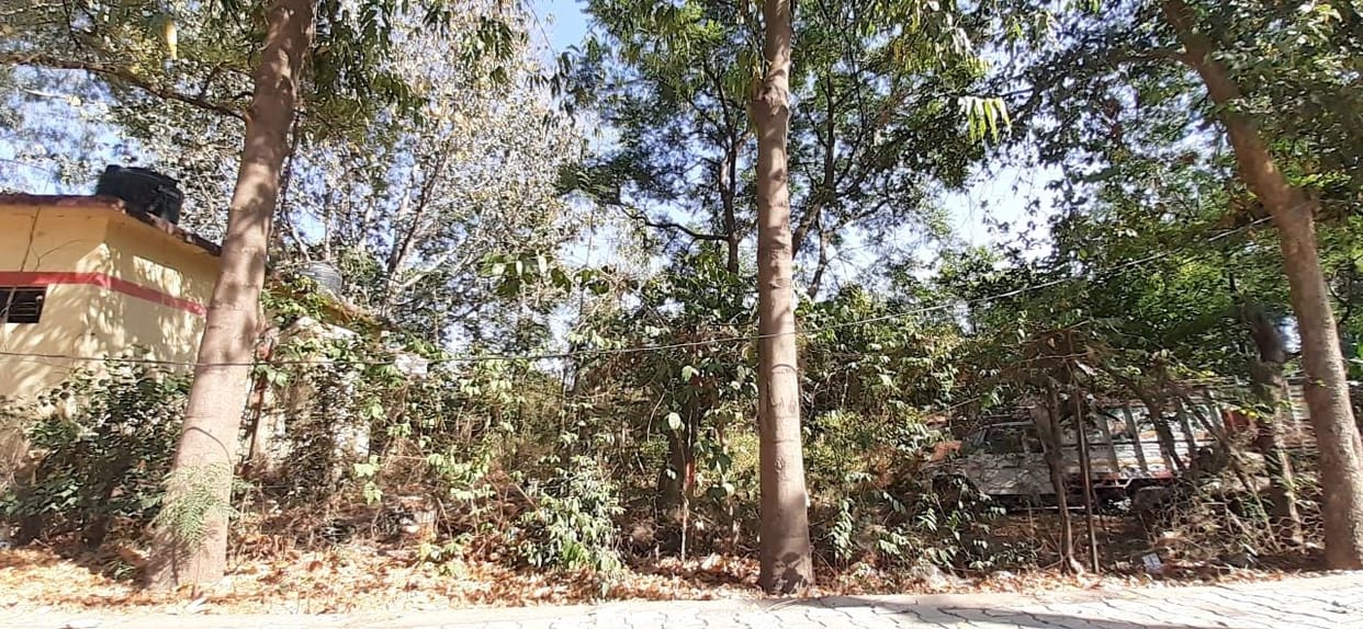 Oxygen reserves in Bijnor's Indira Park are in disarray.