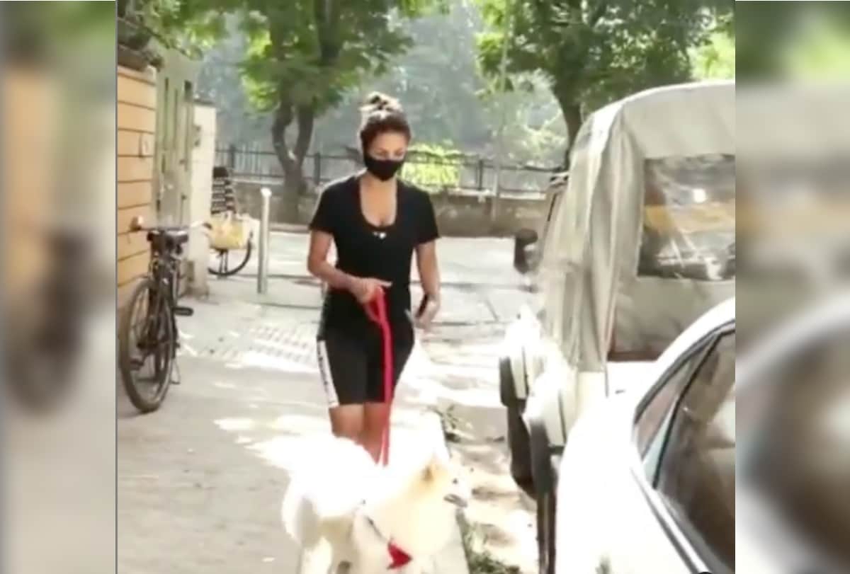 malaika arora wearing comfy summer blue dress takes her dog for walk