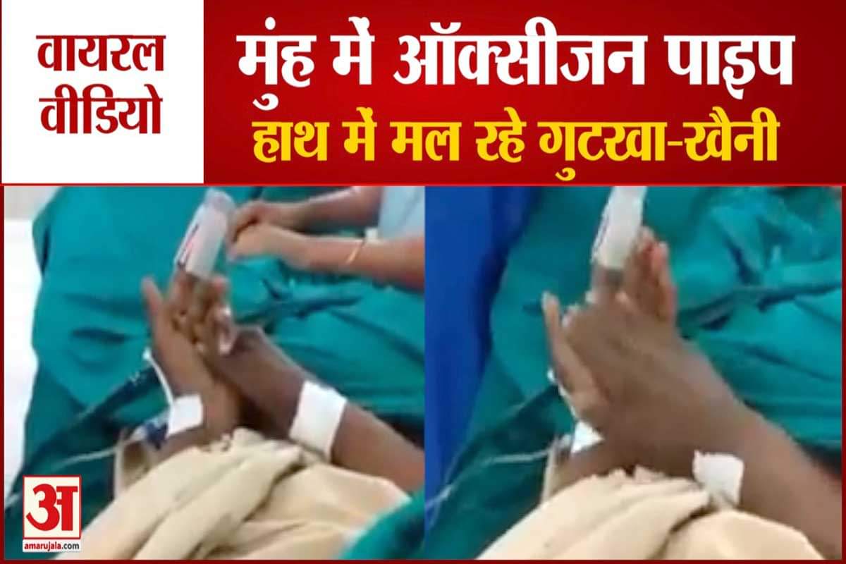 वायरल वीडियो