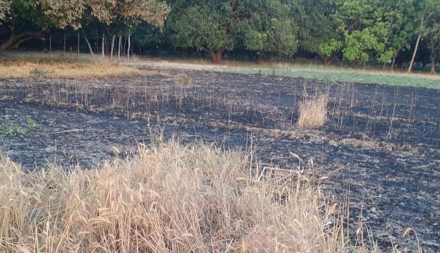 fire,crop,burn,WHEAT,hardoi crime news