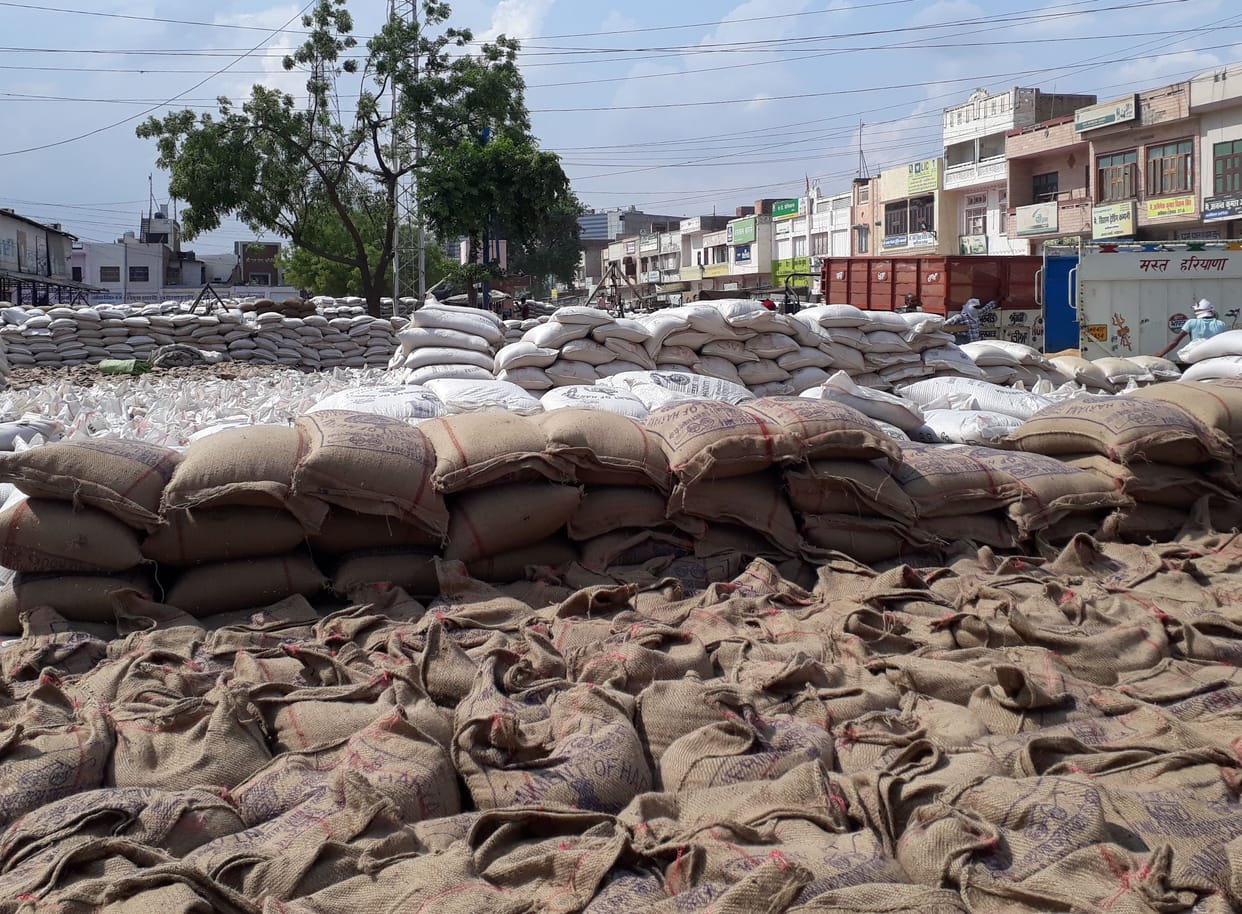 Hafed leads in procurement of wheat, FCI laggards
