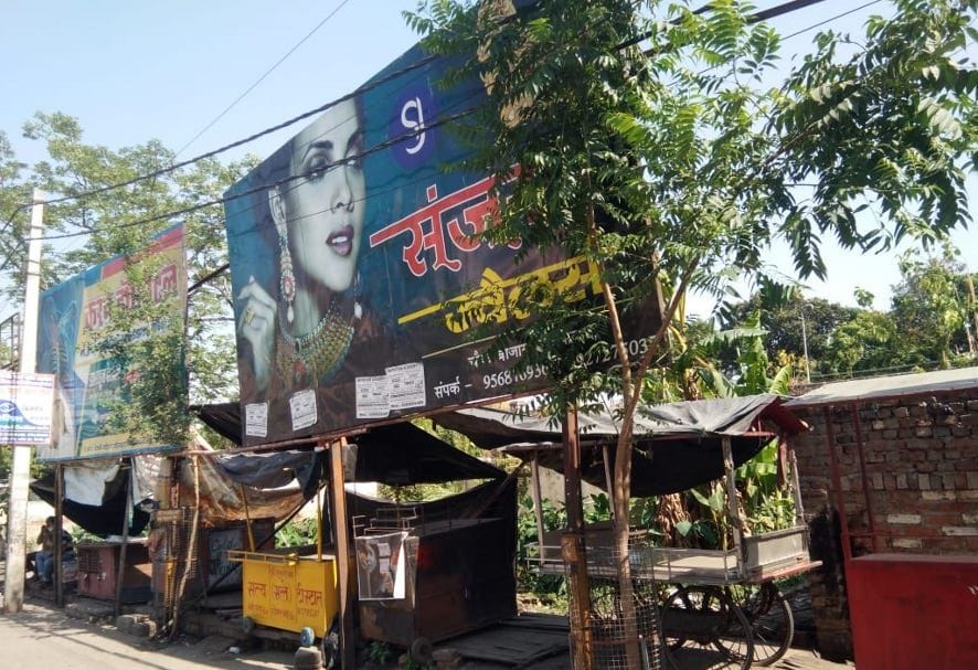 Plants planted by NGOs buried under hoardings