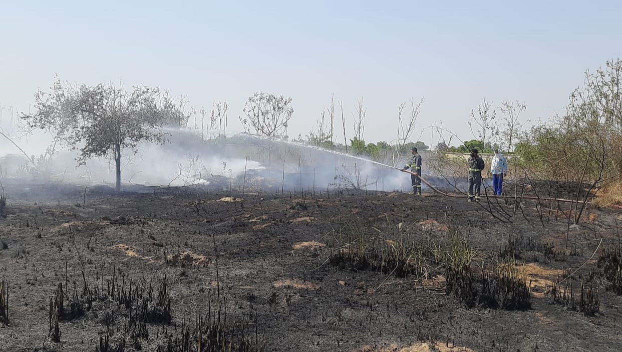 Fire in bushes in police line premises