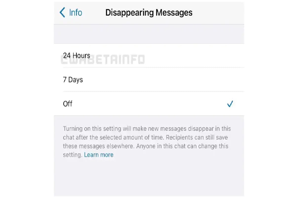 WhatsApp Testing 24 Hours Option for Disappearing Messages on All platform
