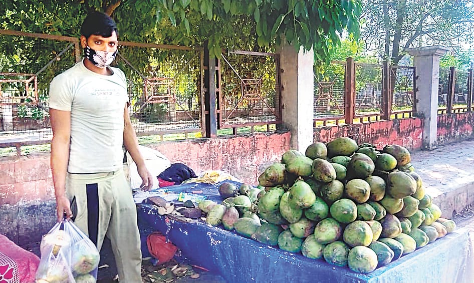 Fruit of vitamin c are become costier  than before