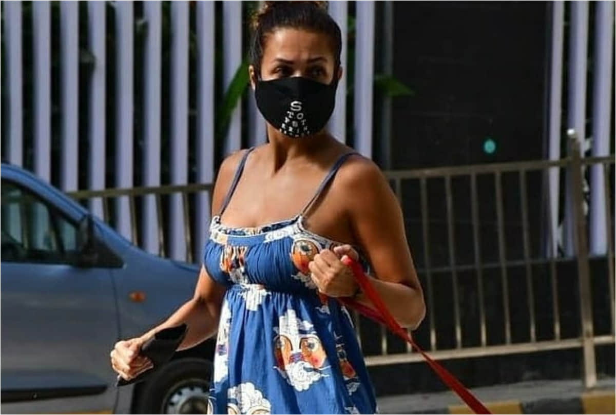 malaika arora wearing comfy summer blue dress takes her dog for walk