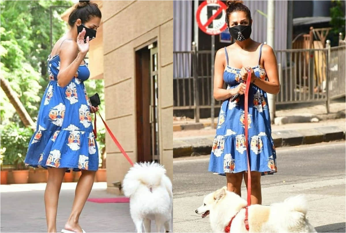 malaika arora wearing comfy summer blue dress takes her dog for walk
