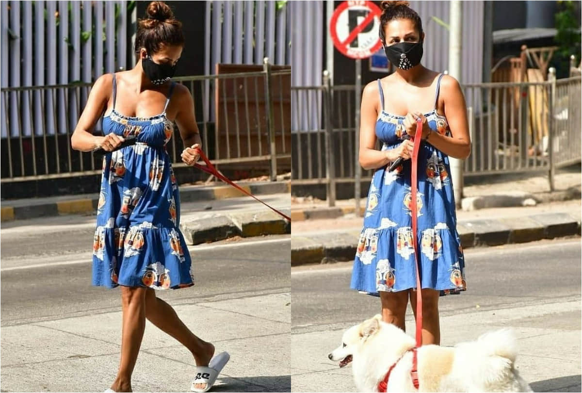 malaika arora wearing comfy summer blue dress takes her dog for walk