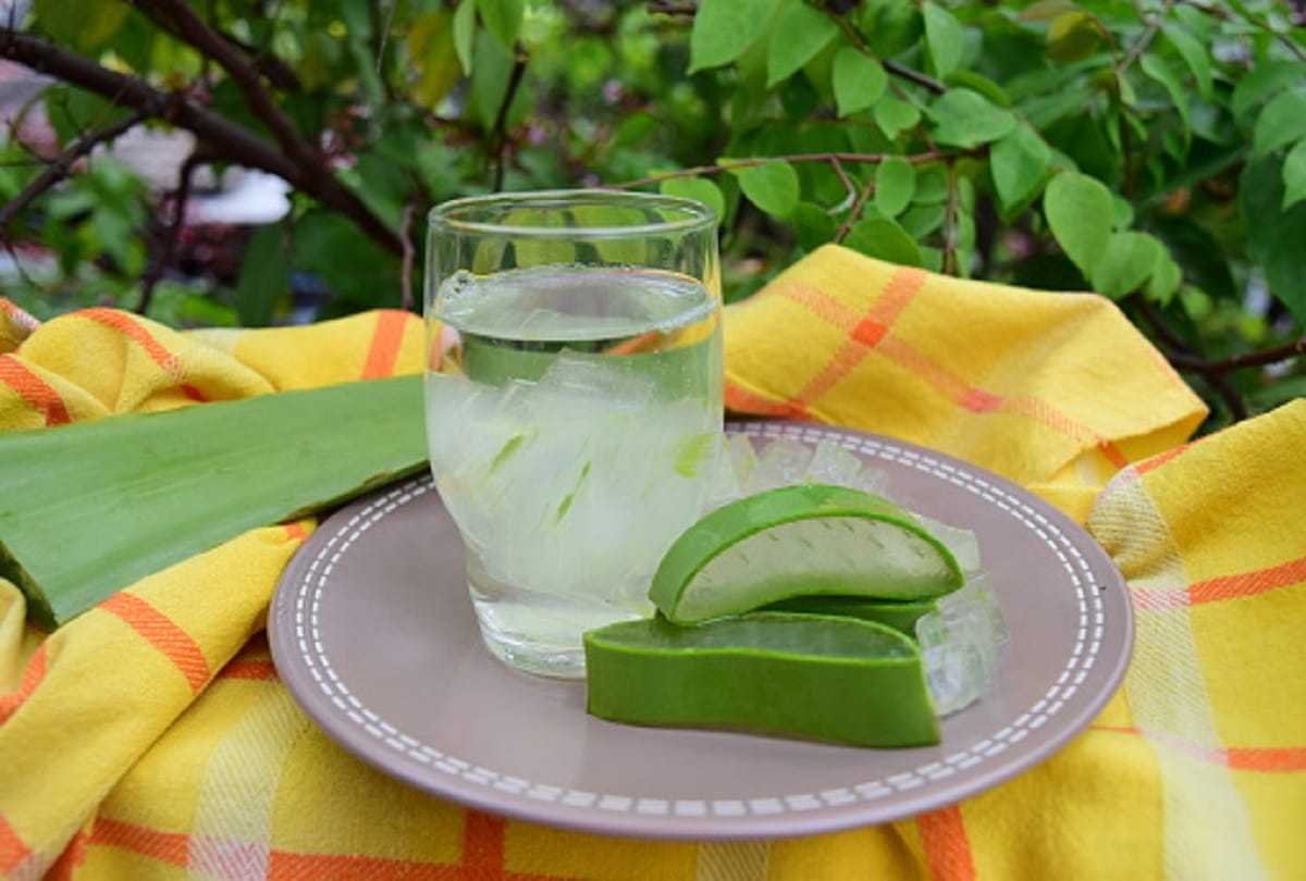 Health benefits of aloe vera side effects in hindi