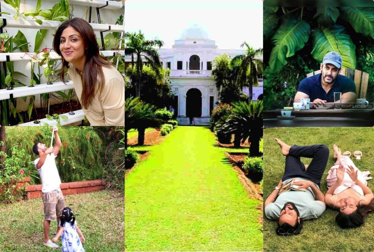 saif ali khan to shilpa shetty and salman khan owning beautiful gardens growing plants