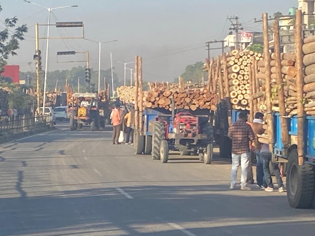 Trolleys full of wood on the highway became a problem , Yamunanagar