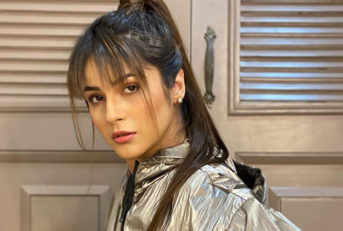 #ShameOnAltBalaji: Shenaaz Gill Fans demands apology against ‘likes’ to derogatory post