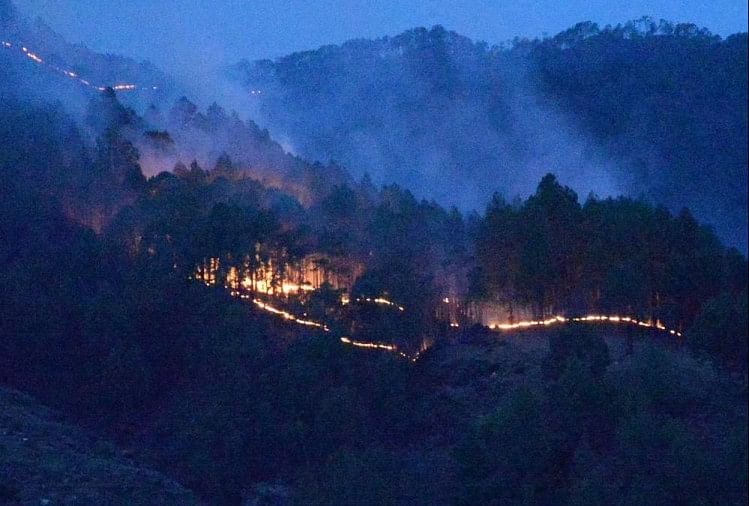 Uttarakhand News: 183 Hectares Of Forest Burned In 120 Incidents Of ...