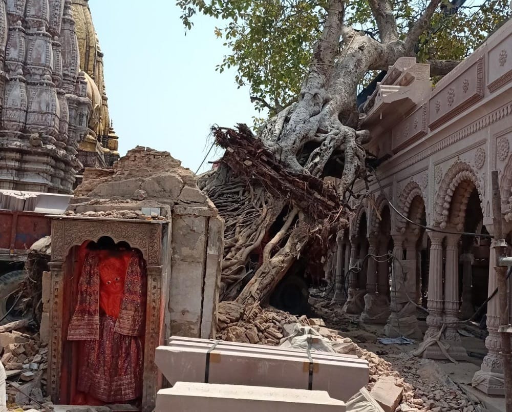 A huge banyan tree collapses in the Akshayavat Hanuman temple located in the Vishwanath temple enclosure in varanasi