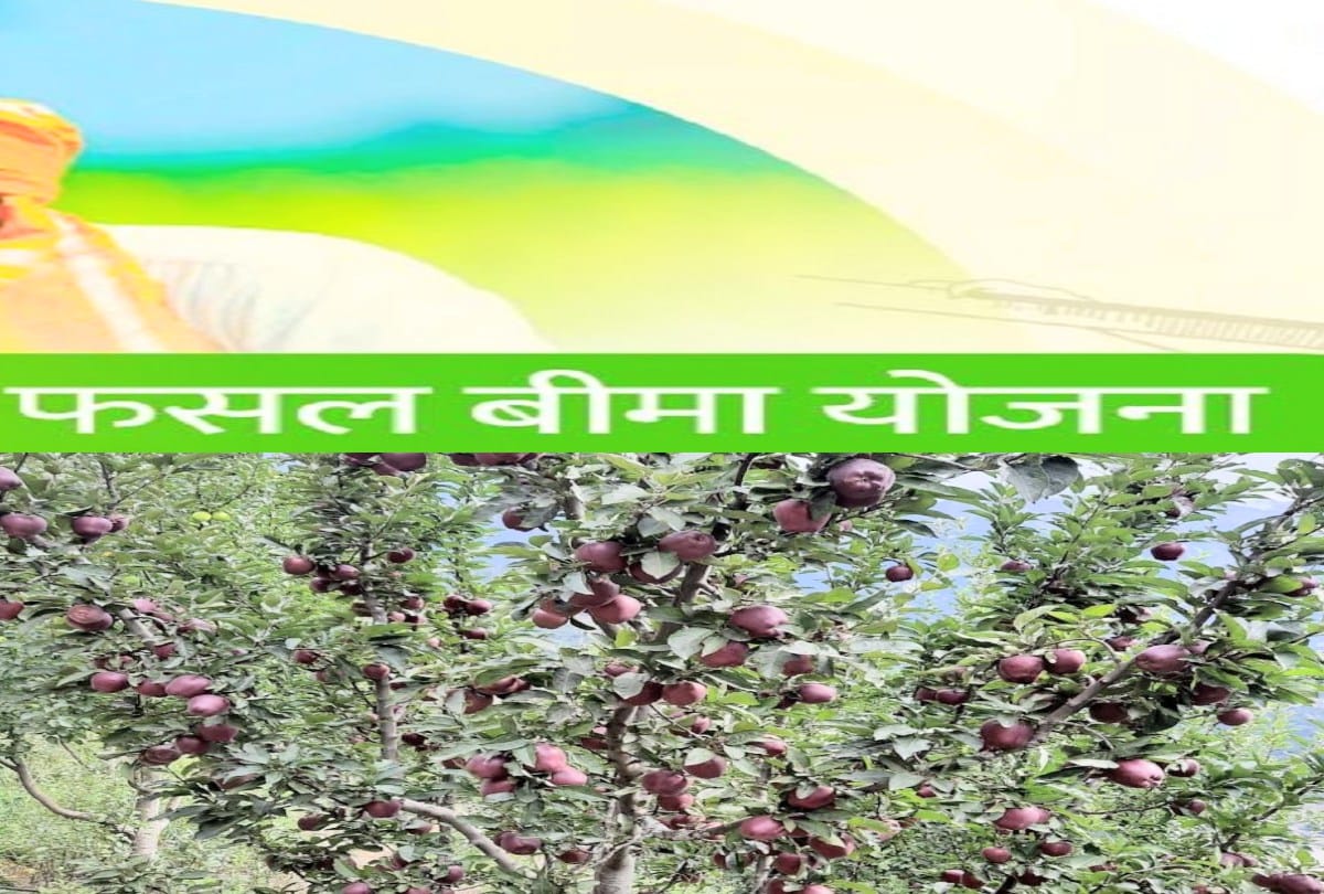 Proposal to blacklist ICICI Lombard, alleging delay in payment of crop insurance