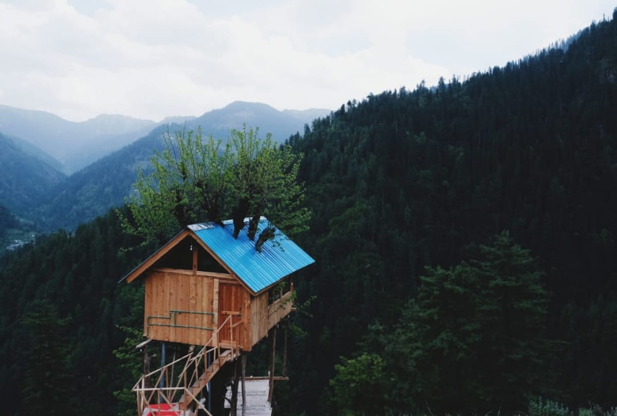 Himachal News: tree house cottages in kullu in Himachal Pradesh