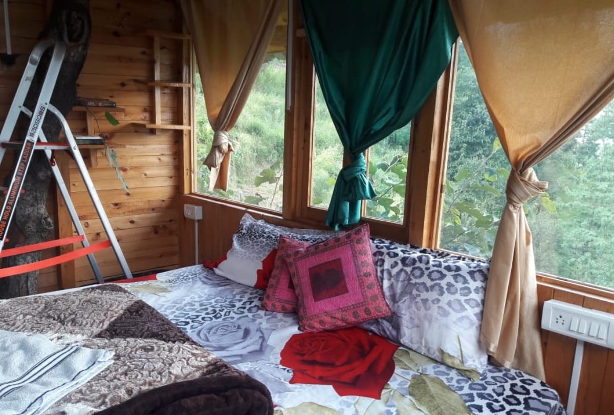 Himachal News: tree house cottages in kullu in Himachal Pradesh