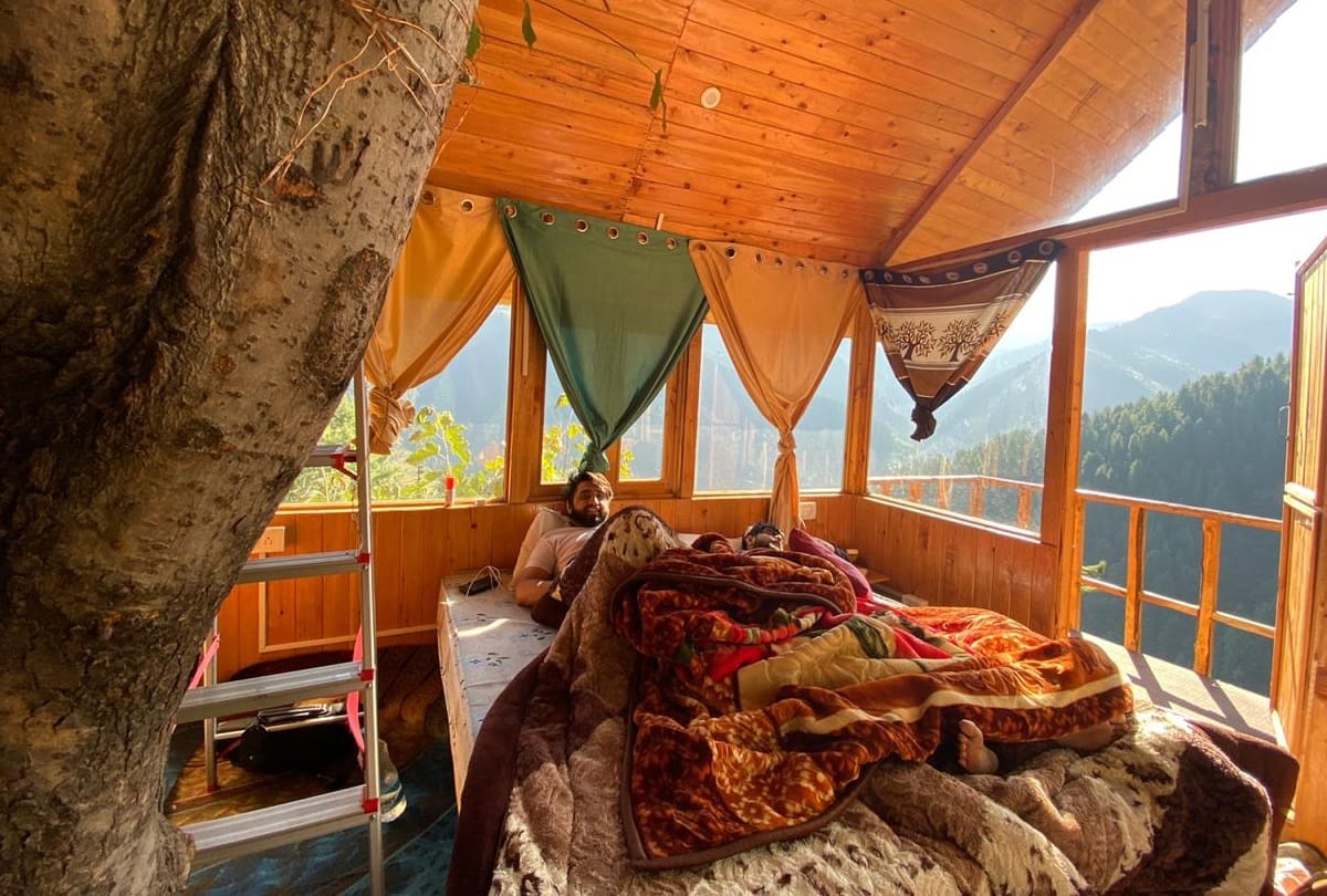 Himachal News: tree house cottages in kullu in Himachal Pradesh