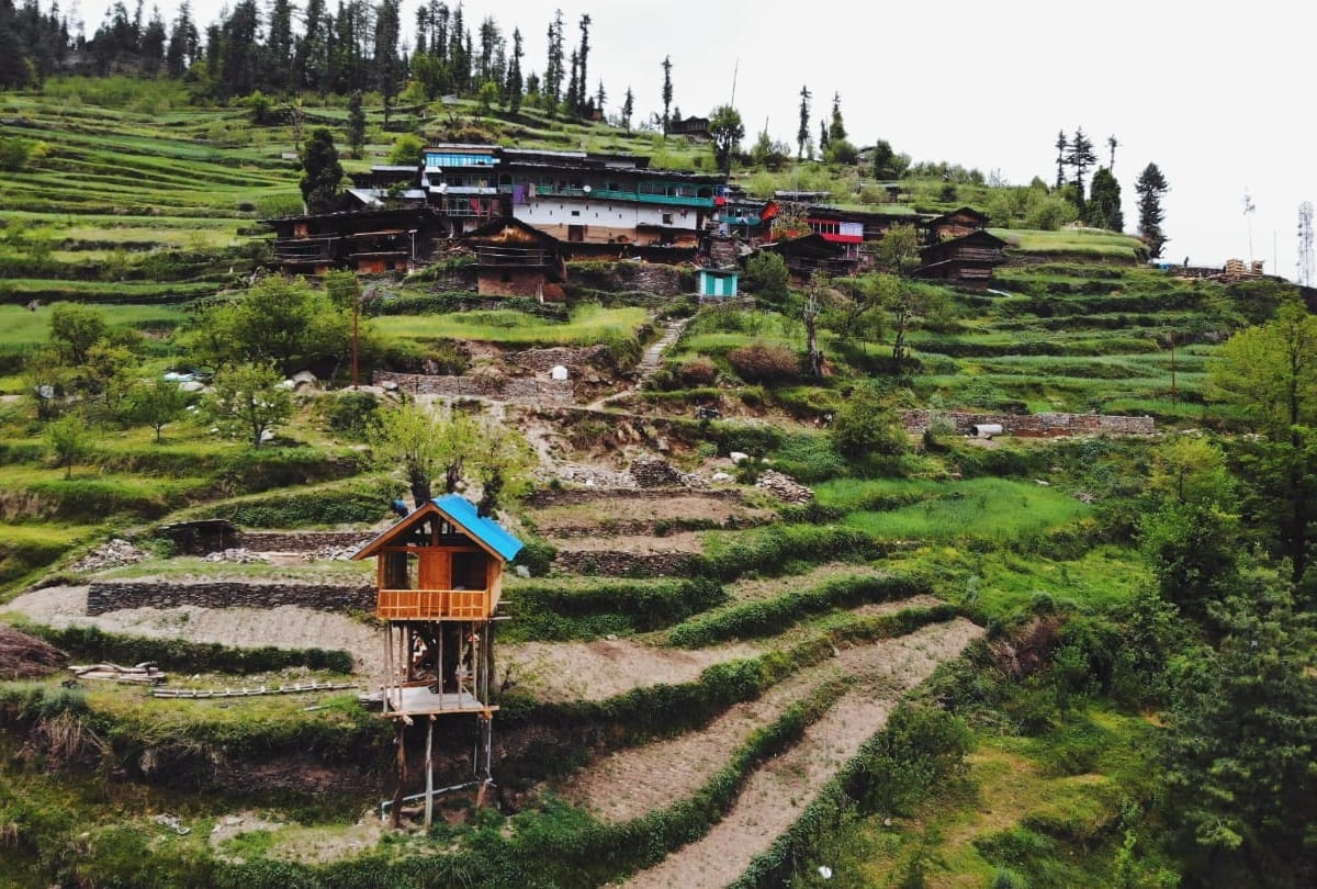Himachal News: tree house cottages in kullu in Himachal Pradesh