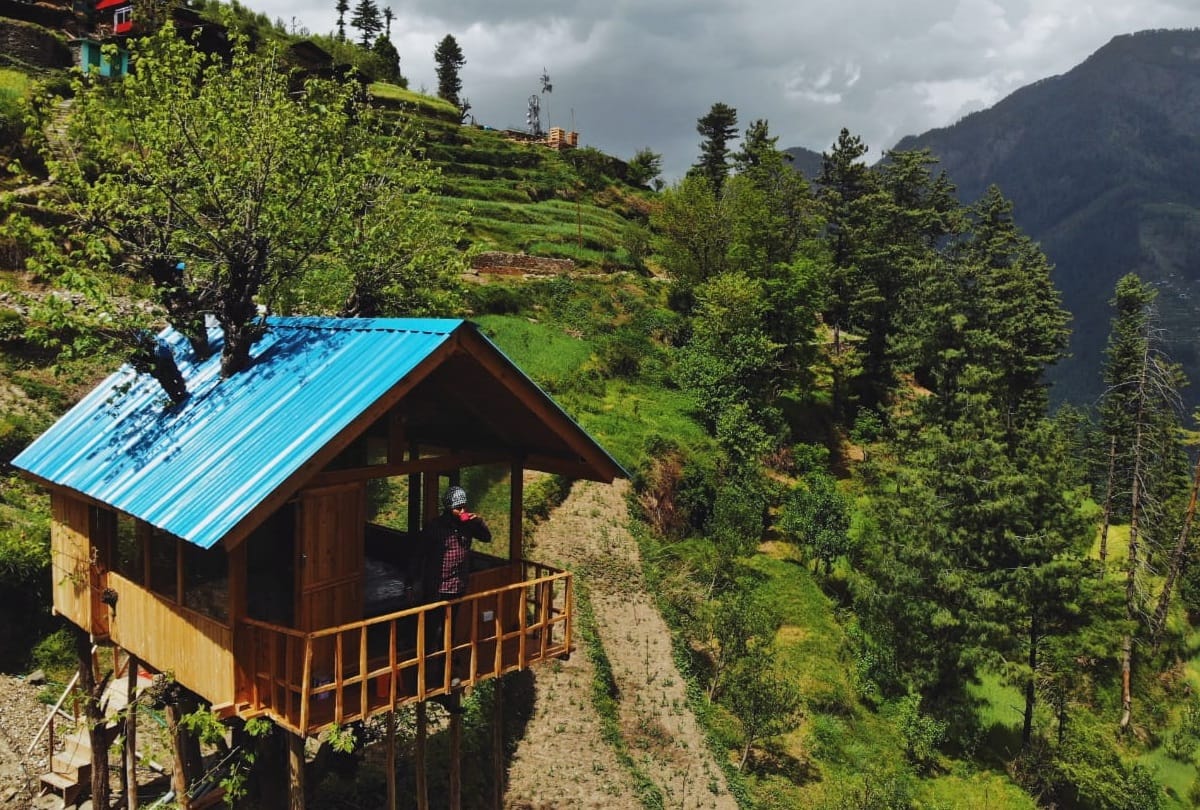 Himachal News: tree house cottages in kullu in Himachal Pradesh