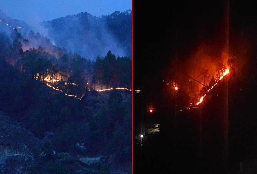 Uttarakhand Wildfire News Today: Fire Broke Out in Forest of Kumaun Region Again photos
