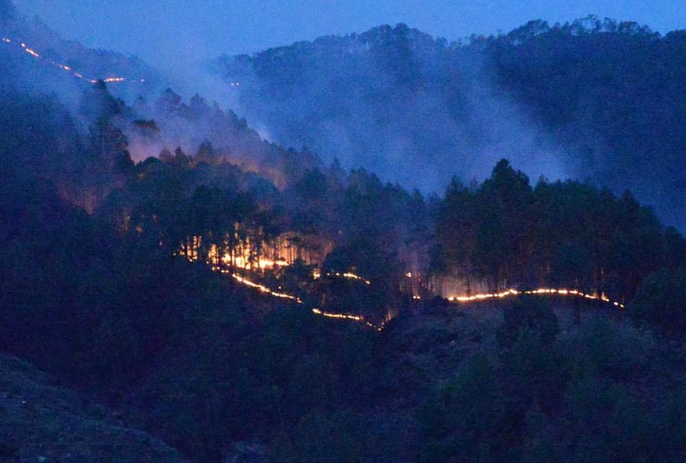 Forest Fire incidents increased seven times in Uttarakhand and Himachal Due to less Snow