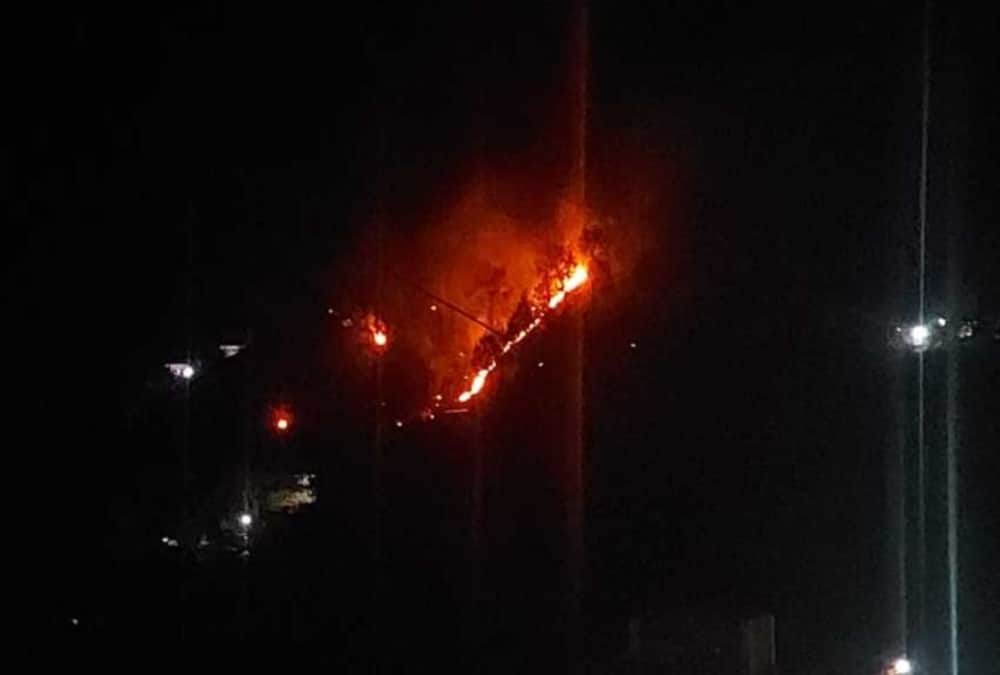 Uttarakhand Wildfire News Today: Fire Broke Out in Forest of Kumaun Region Again photos