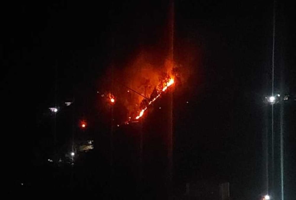 Uttarakhand Wildfire News Today: Fire Broke Out in Forest of Kumaun Region Again photos