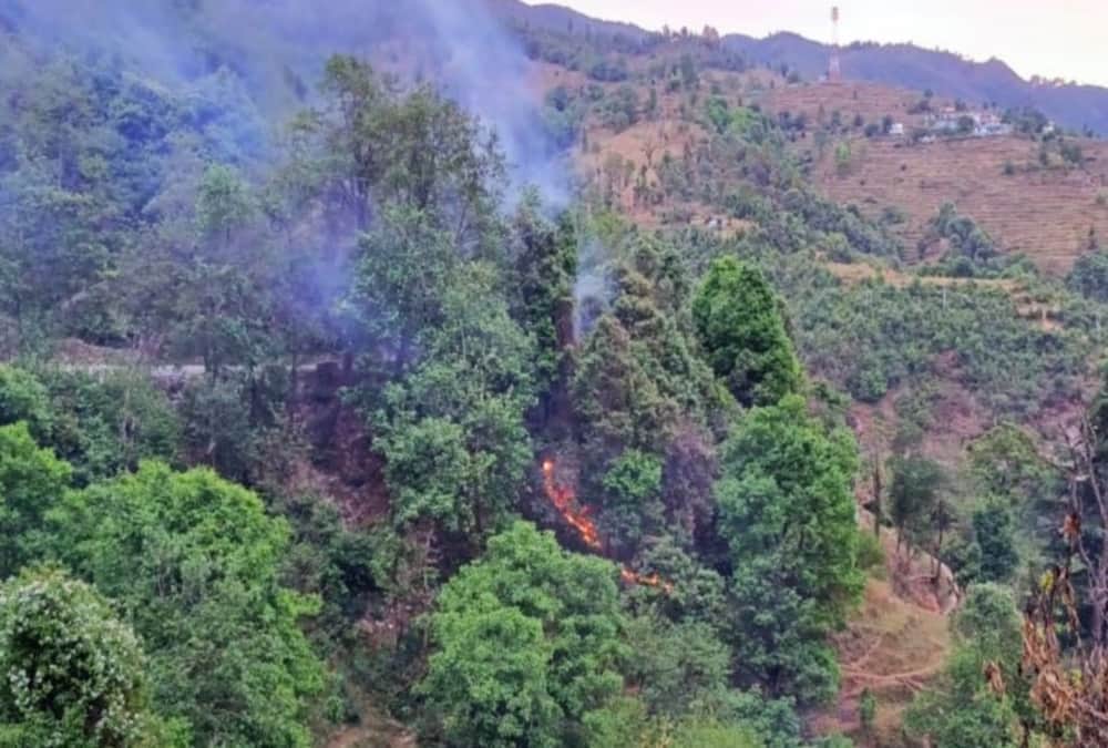 Uttarakhand Wildfire News Today: Fire Broke Out in Forest of Kumaun Region Again photos