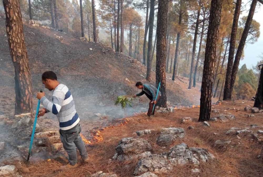 Uttarakhand Wildfire News Today: Fire Broke Out in Forest of Kumaun Region Again photos
