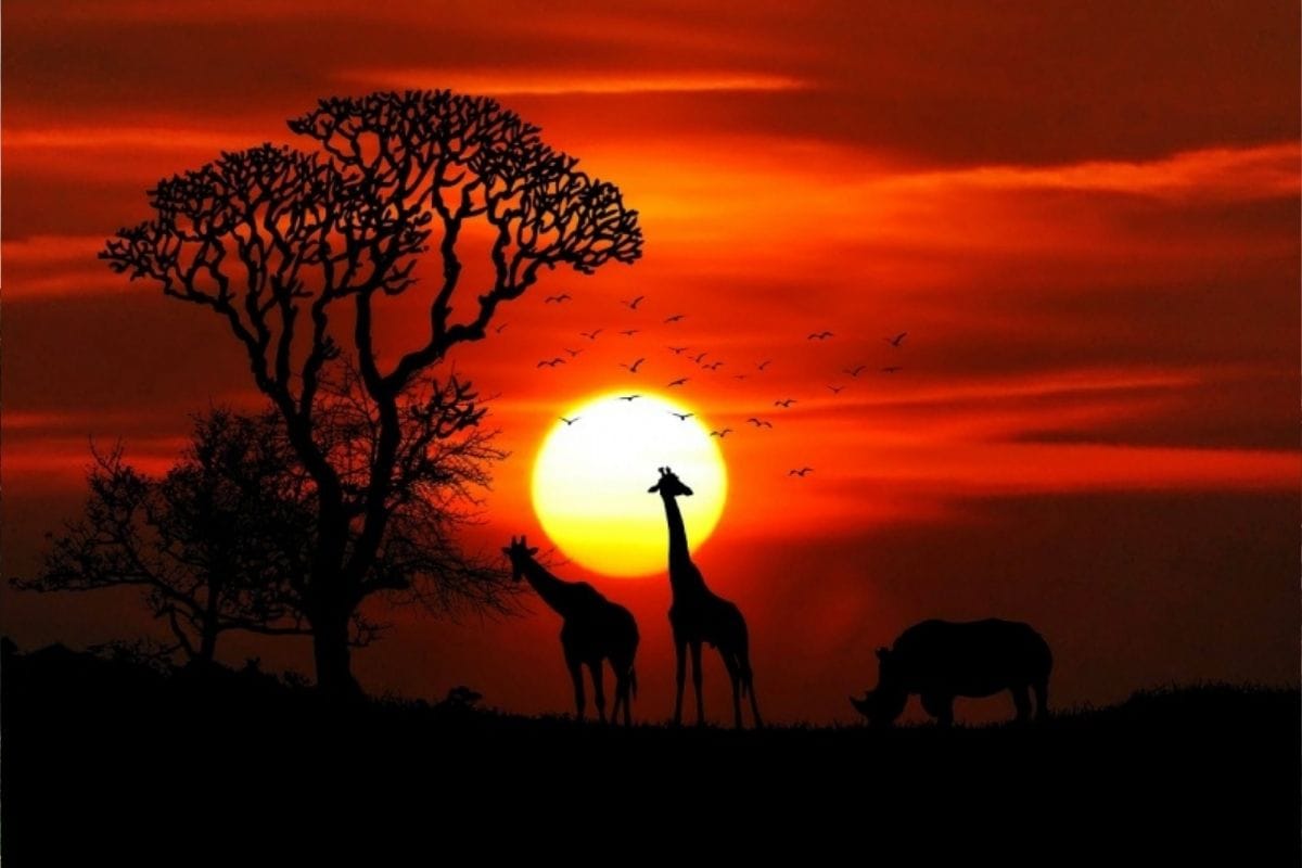 These are the 6 places where sun never sets for 50 to 100days